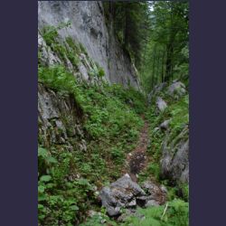 2007-05_09Saletsteig (186).JPG